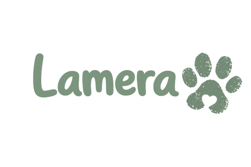 Lamera