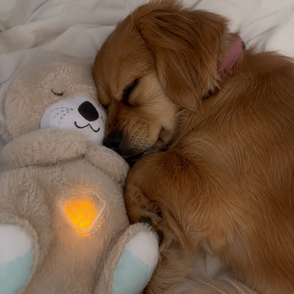 Lamera HeartBeat Bear